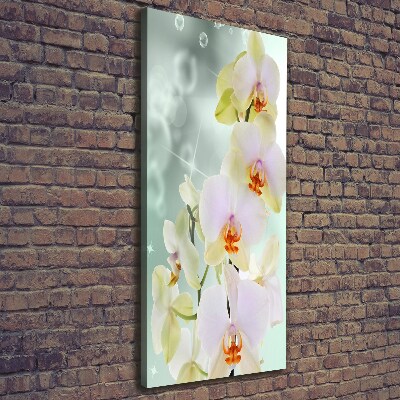 Wandbild vertikales Orchidee