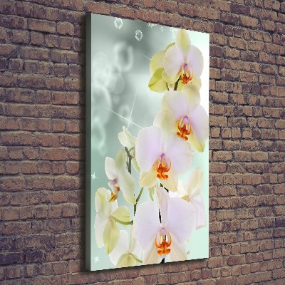 Wandbild vertikales Orchidee