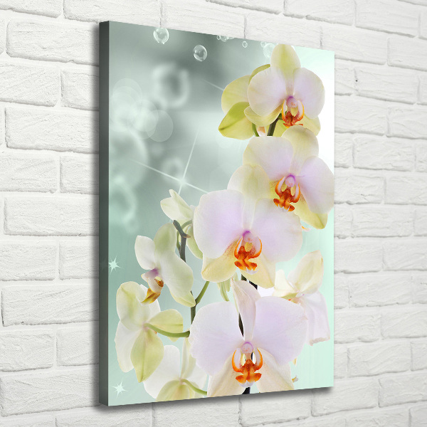 Wandbild vertikales Orchidee