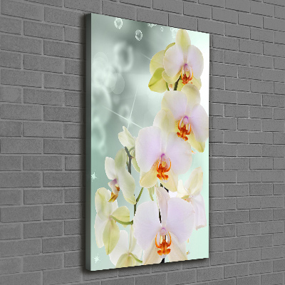 Wandbild vertikales Orchidee