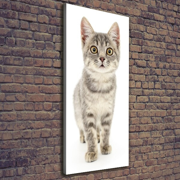 Foto leinwand vertikales Graue Katze