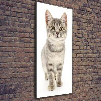 Foto leinwand vertikales Graue Katze
