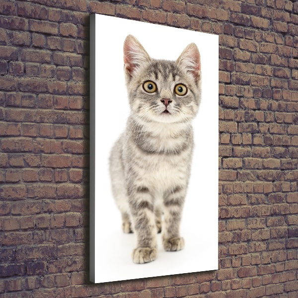 Foto leinwand vertikales Graue Katze