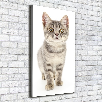 Foto leinwand vertikales Graue Katze