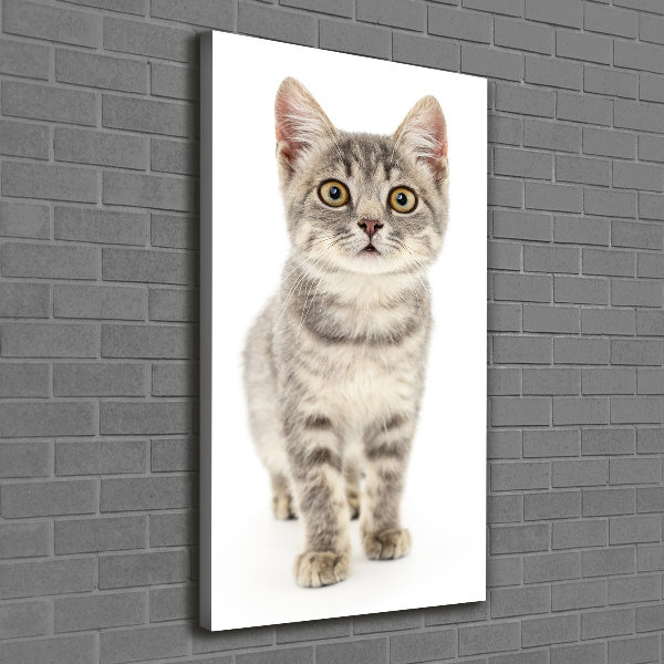 Foto leinwand vertikales Graue Katze