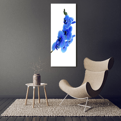 Foto leinwand vertikales Blaue Orchidee