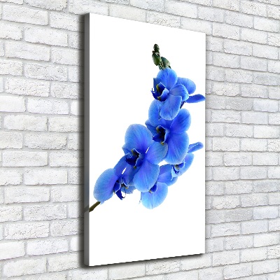 Foto leinwand vertikales Blaue Orchidee