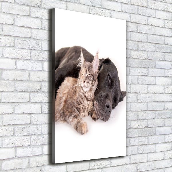 Wandbild vertikales Hund und Katze