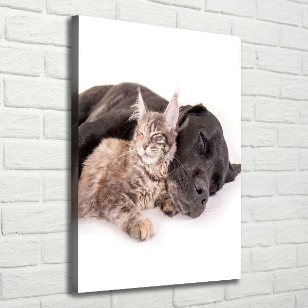 Wandbild vertikales Hund und Katze