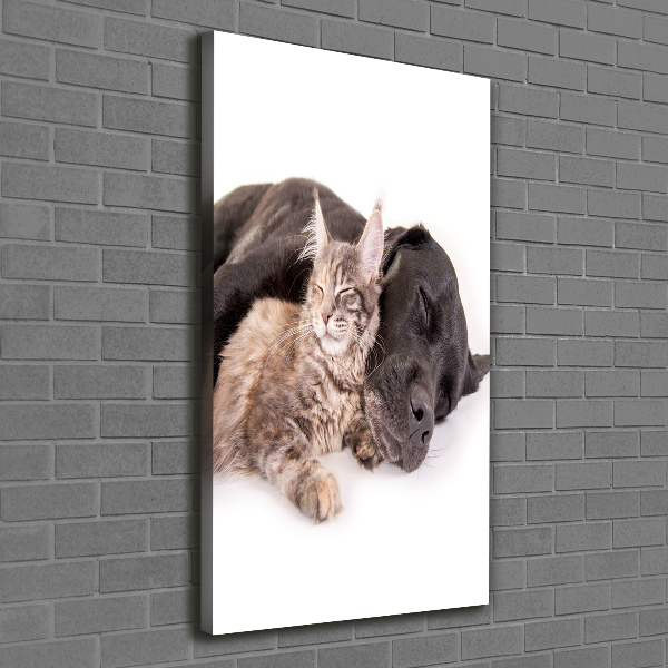 Wandbild vertikales Hund und Katze