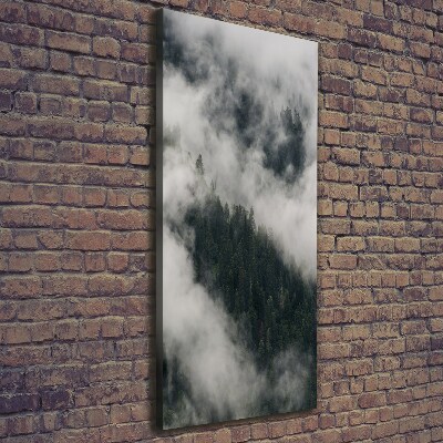 Foto auf leinwand vertikales Eine Wolke über dem Wald