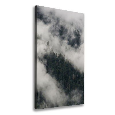 Foto auf leinwand vertikales Eine Wolke über dem Wald