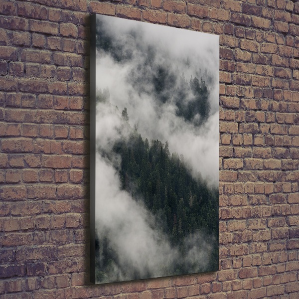 Foto auf leinwand vertikales Eine Wolke über dem Wald