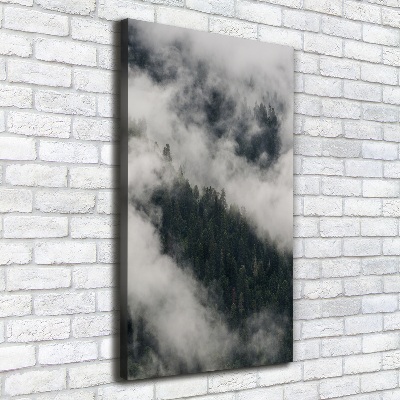 Foto auf leinwand vertikales Eine Wolke über dem Wald