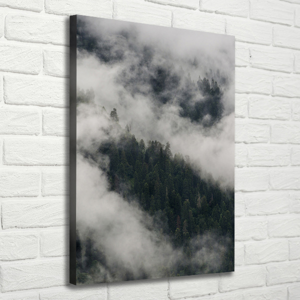 Foto auf leinwand vertikales Eine Wolke über dem Wald