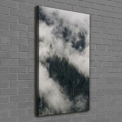 Foto auf leinwand vertikales Eine Wolke über dem Wald