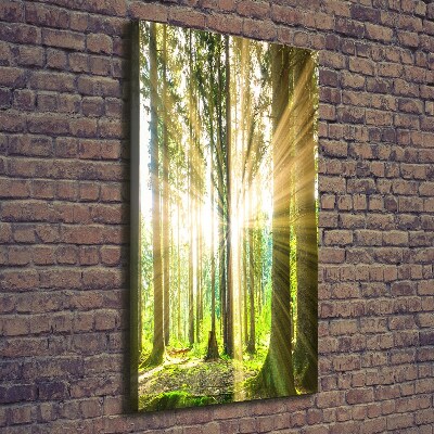 Foto leinwand vertikales Die Sonne im Wald