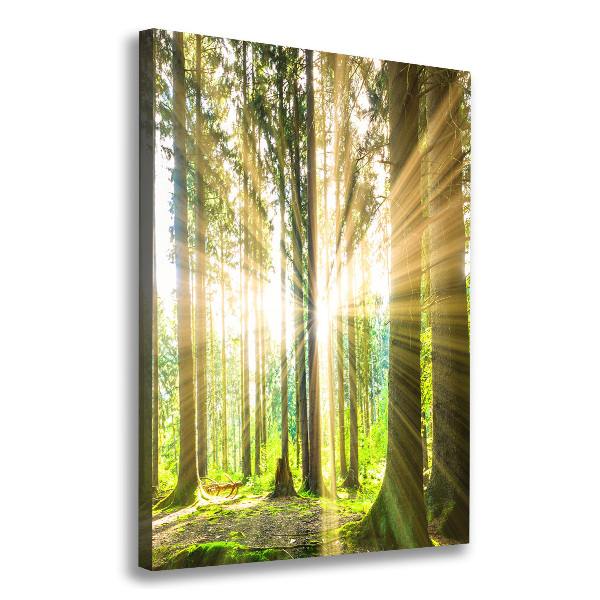 Foto leinwand vertikales Die Sonne im Wald