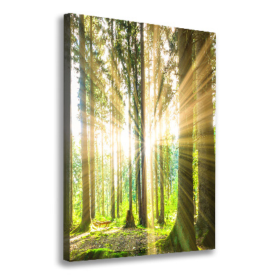 Foto leinwand vertikales Die Sonne im Wald