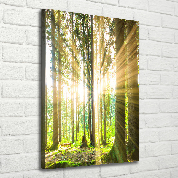 Foto leinwand vertikales Die Sonne im Wald