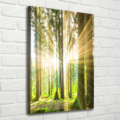 Foto leinwand vertikales Die Sonne im Wald