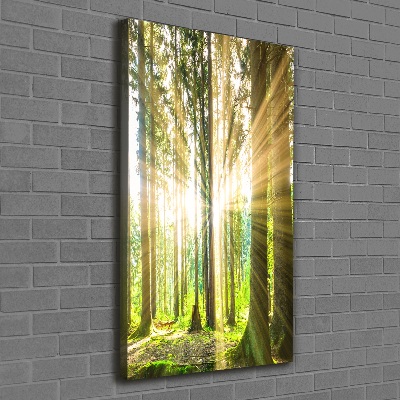 Foto leinwand vertikales Die Sonne im Wald