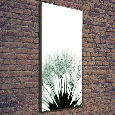 Foto auf leinwand vertikales Löwenzahnsamen