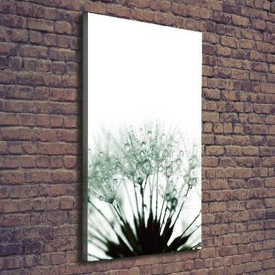 Foto auf leinwand vertikales Löwenzahnsamen
