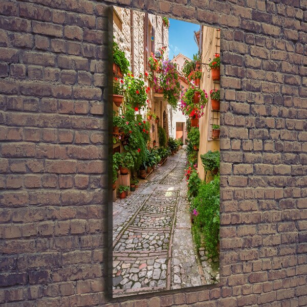 Foto leinwand vertikales Umbrien, Italien