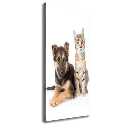 Foto leinwand vertikales Hund und Katze