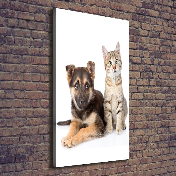 Foto leinwand vertikales Hund und Katze