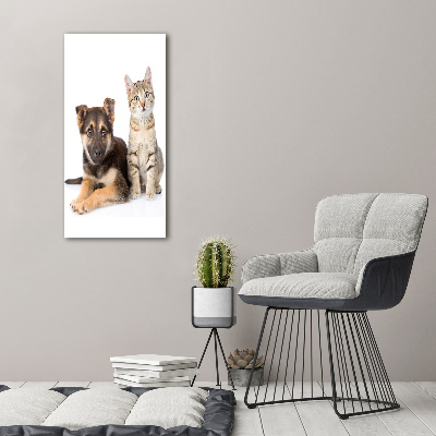 Foto leinwand vertikales Hund und Katze