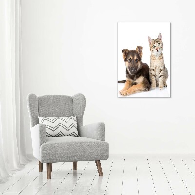Foto leinwand vertikales Hund und Katze