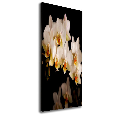 Wandbild vertikales Orchidee