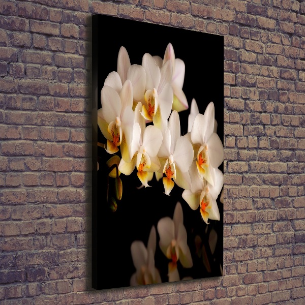 Wandbild vertikales Orchidee