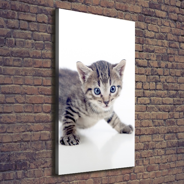 Foto auf leinwand vertikales Kleine Katze