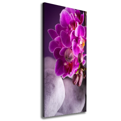 Foto leinwand vertikales Rosa Orchidee
