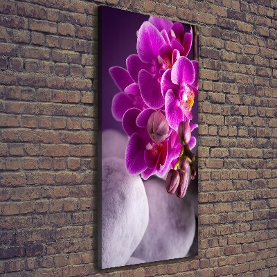 Foto leinwand vertikales Rosa Orchidee