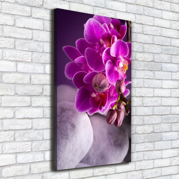 Foto leinwand vertikales Rosa Orchidee
