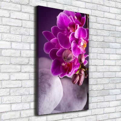 Foto leinwand vertikales Rosa Orchidee
