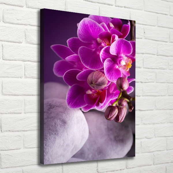 Foto leinwand vertikales Rosa Orchidee