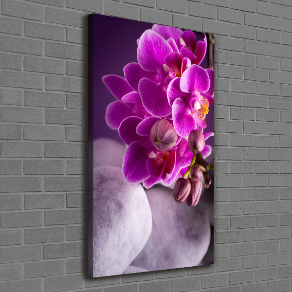 Foto leinwand vertikales Rosa Orchidee