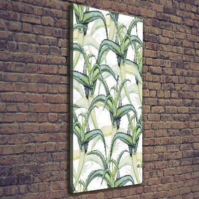 Foto leinwand vertikales Aloe