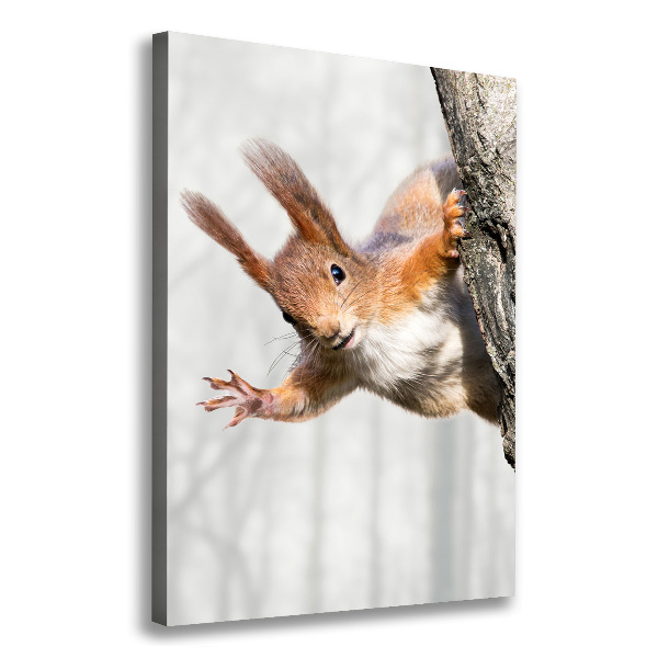 Foto leinwand vertikales Eichhörnchen auf einem Baum