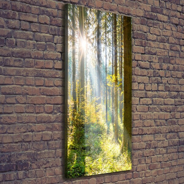 Foto auf leinwand vertikales Die Sonne im Wald