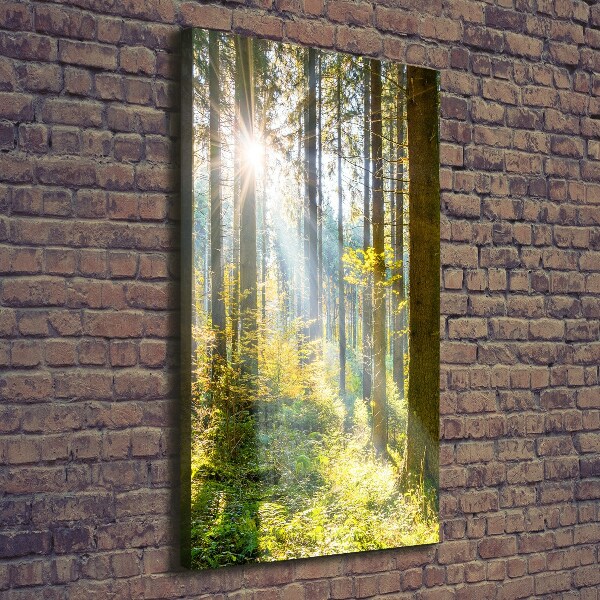 Foto auf leinwand vertikales Die Sonne im Wald