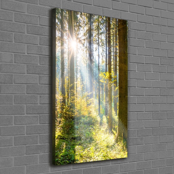 Foto auf leinwand vertikales Die Sonne im Wald