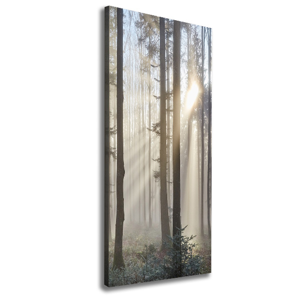 Wandbild vertikales Nebel im Wald