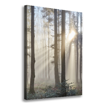 Wandbild vertikales Nebel im Wald