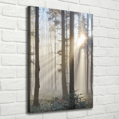 Wandbild vertikales Nebel im Wald